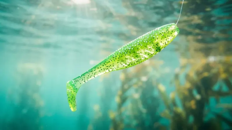 Soft Plastics for Beginners: Unlock Versatile & Effective Lure Fishing