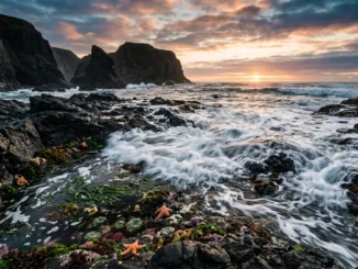 crack the code how tides influence your saltwater fishing su 2026 05 03