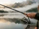 hook your perfect catch choosing the right fishing rod for b 2026 04 28