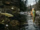 live bait vs artificial lures when to use which for maximum 2026 05 02