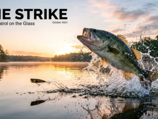 mastering topwater lures 2026 04 23