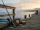 pier fishing for beginners your easy guide to coastal catche 2026 05 03