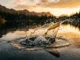 unleash explosive strikes topwater lures for beginner angler 2026 05 03