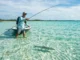 unlock clear waters your guide to sight fishing success 2026 04 30