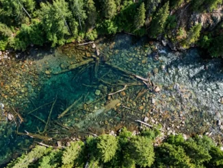 unlock more bites reading water structure like a seasoned an 2026 04 23